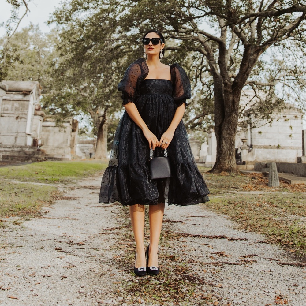 Elegant Black Sheer Puff Sleeve Dress